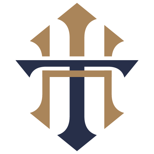hamila-group-logo